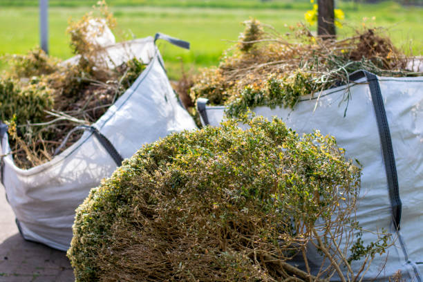 Best Household Junk Removal  in Hillview, KY